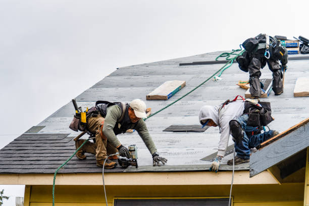 Professional Storm Damage Roof Repair technician working in Waynesboro, TN